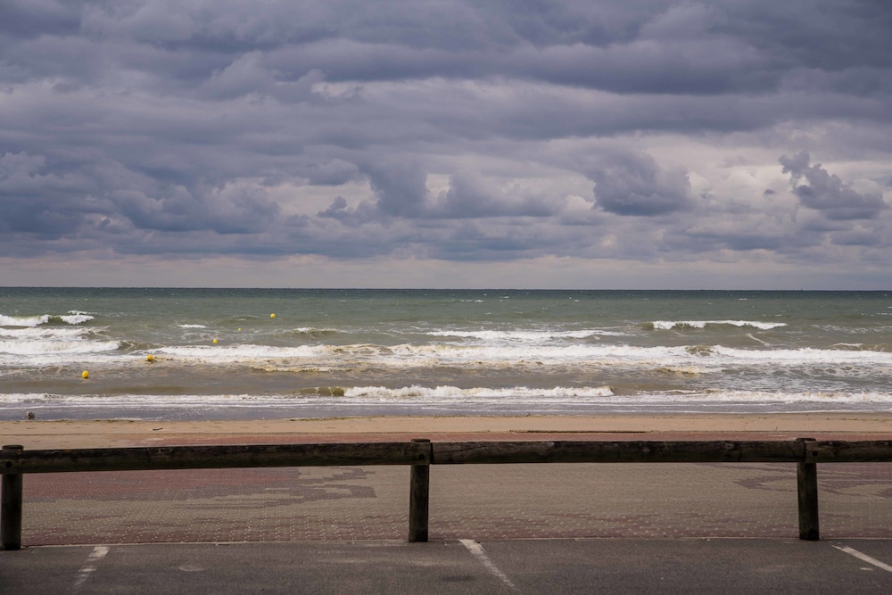 evancy bray dunes etoile de mer