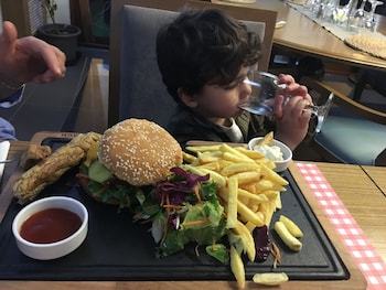 fly inn brussels airport