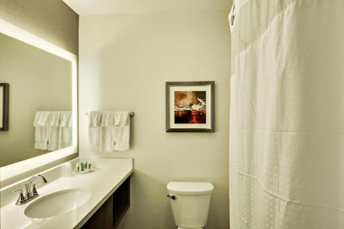 holiday inn st george conv ctr by ihg