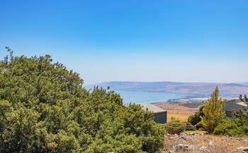hagalil haelyon