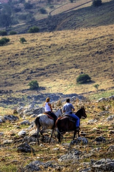 vered hagalil holiday village