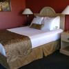 lewis river inn