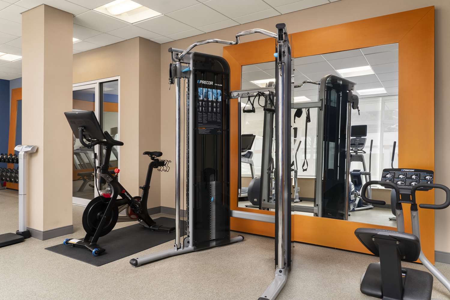 homewood suites by hilton boston brookline longwood medical