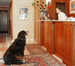 Hotel Abacus,Lombardy>>Castiglione Delle Stiviere,4 star