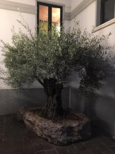 Hotel Abacus,Lombardy>>Castiglione Delle Stiviere,4 star