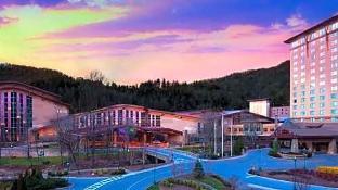 harrahs cherokee valley river casino and hotel
