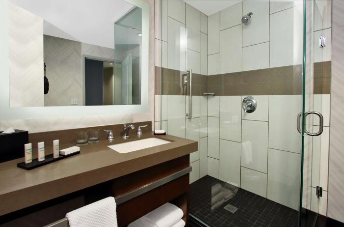 embassy suites by hilton pittsburgh downtown