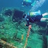 bocas del toro