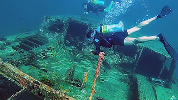 bocas del toro