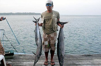 bocas del toro