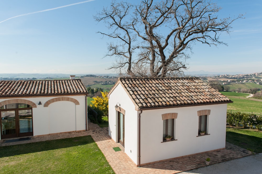 osimo