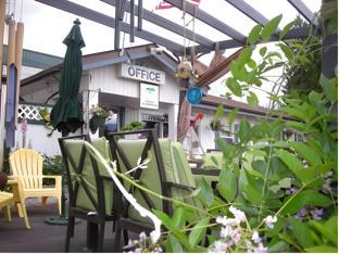 creston valley motel