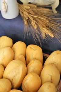 hotel arcos de montemar