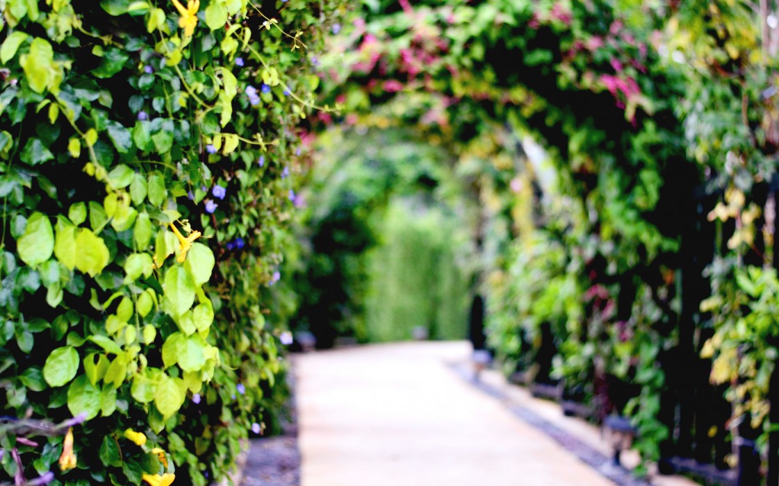 Prairie Hills Resort,Mu Si>>Khao Yai National Park,4 star