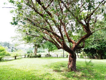 Baan Pun Sook,Chao Lao Beach>>Chanthaburi,3 star