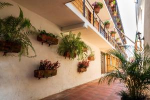 hotel rincon sonado valle de bravo