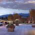 whitefish