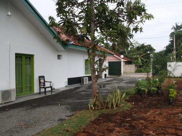 green banana mirissa