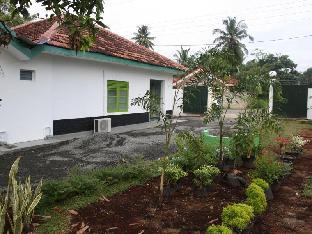 green banana mirissa