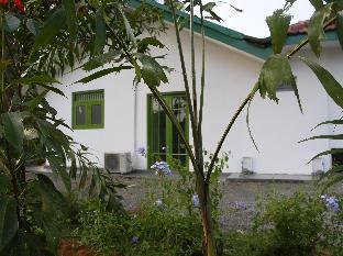 green banana mirissa