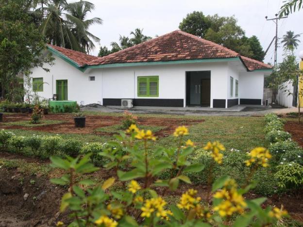 green banana mirissa