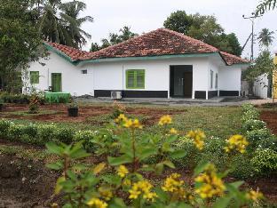 green banana mirissa