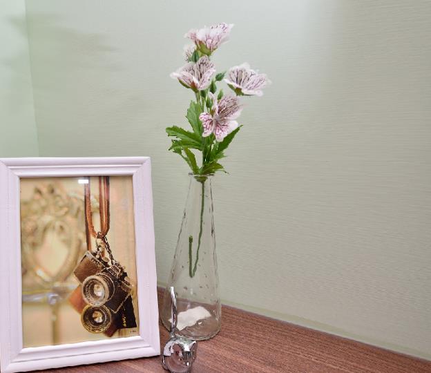 stsp guest house