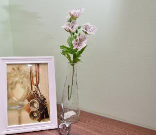 stsp guest house