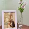 stsp guest house