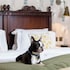 morton hotel