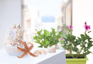 stanze del mare