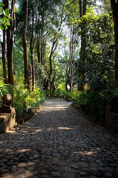 hotel amomoxtli