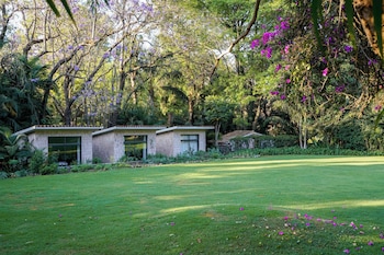 hotel amomoxtli