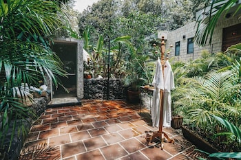 hotel amomoxtli
