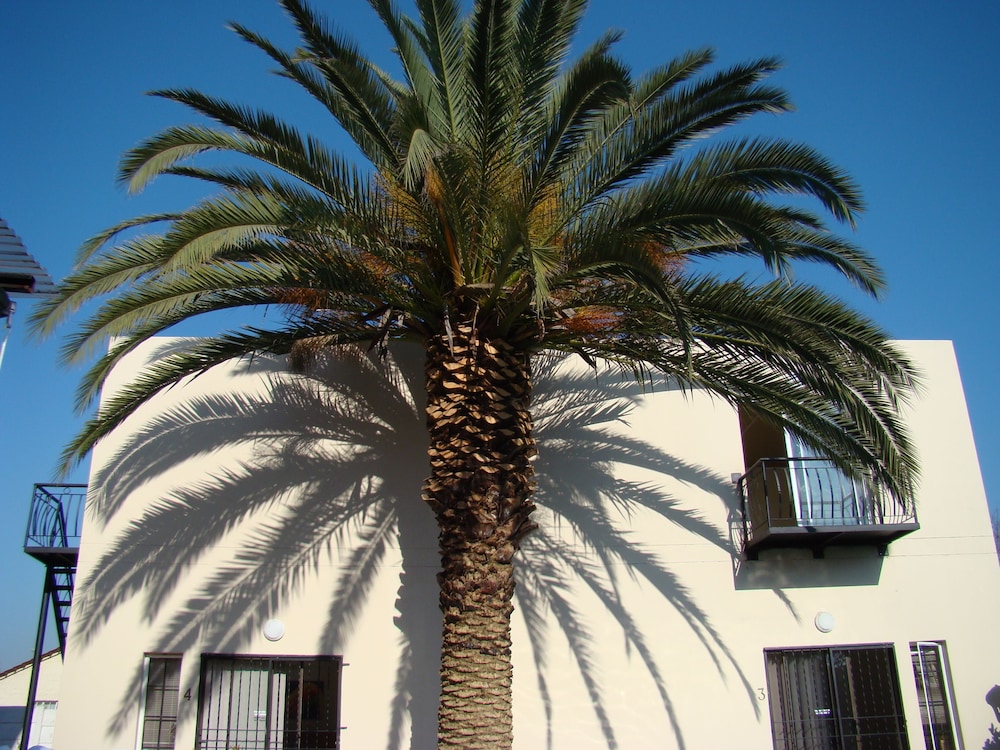 Louhallas Bed & Breakfast,Bruma>>Bedfordview,3 star