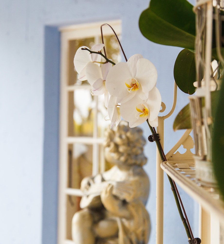 the angels place boutique hotel