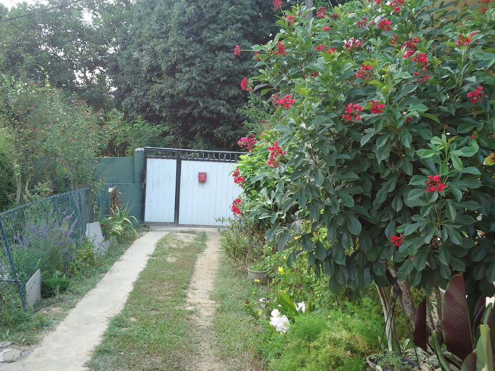 relaxed style of stay