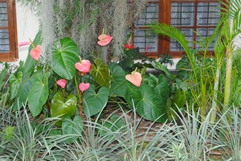 relaxed style of stay