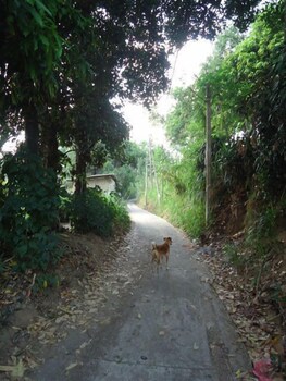 relaxed style of stay