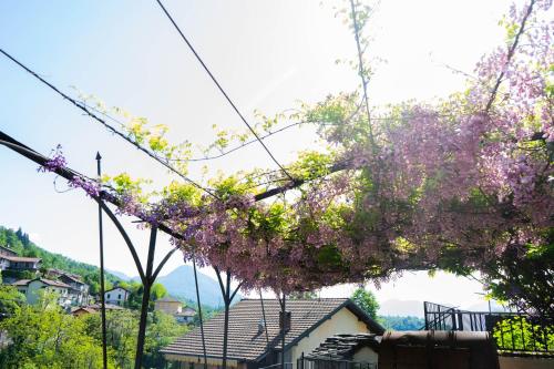 guest house giulietta e romeo