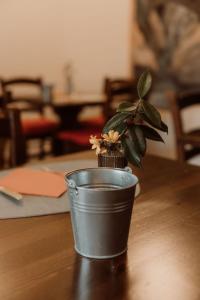 guest house giulietta e romeo