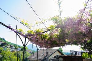 guest house giulietta e romeo