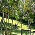 st lucia