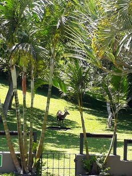 st lucia