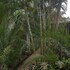 st lucia