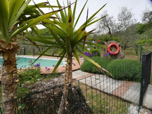 agriturismo crocino in chianti
