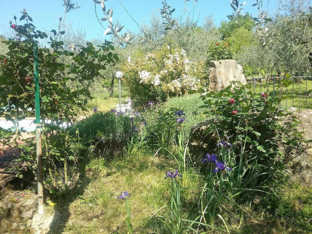 agriturismo crocino in chianti