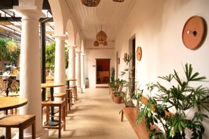 san cristobal de las casas