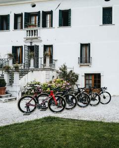 feltre