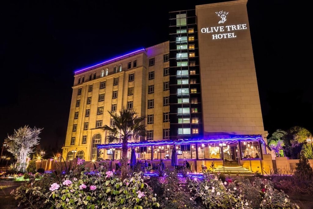 olive tree amman